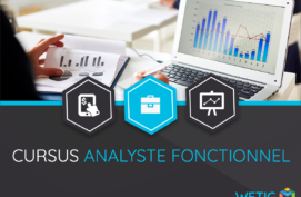 Analyste Fonctionnel
