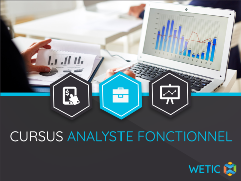Analyste Fonctionnel